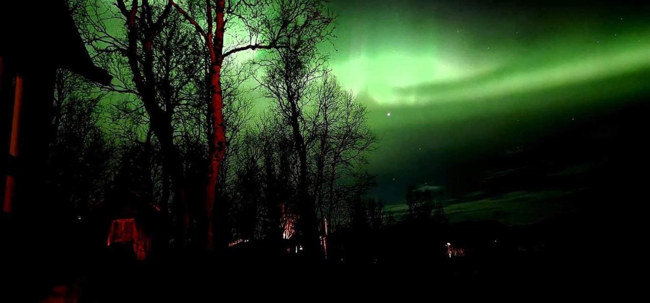 Cosy Cabin In North-Norway, Nearby Senja. Sorreisa Luaran gambar