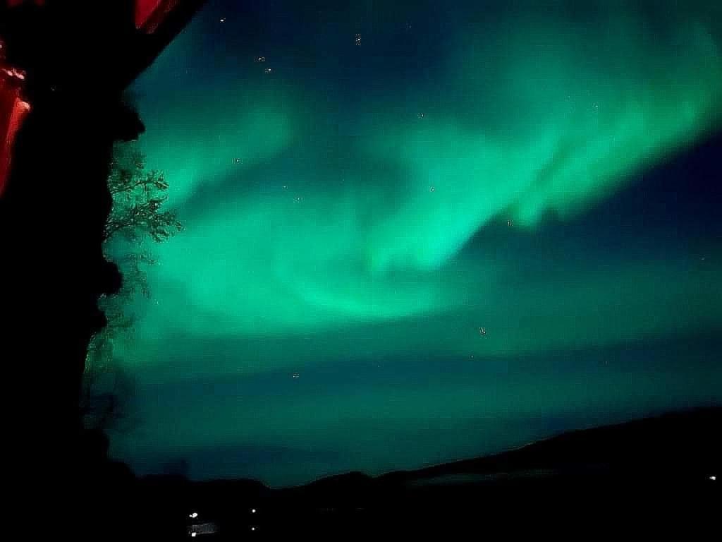 Cosy Cabin In North-Norway, Nearby Senja. Sorreisa Luaran gambar