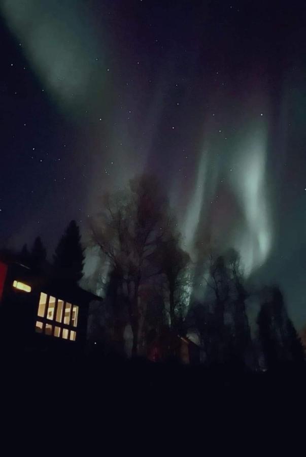 Cosy Cabin In North-Norway, Nearby Senja. Sorreisa Luaran gambar